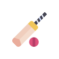 Cricket